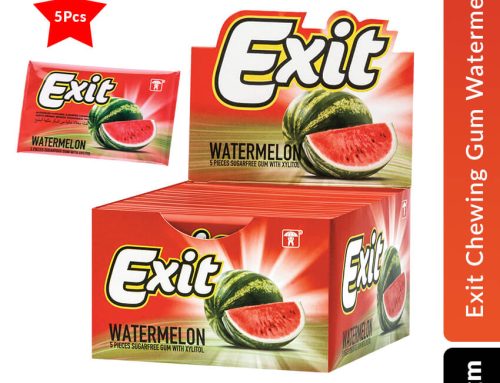 stick 5 pcs watermelon